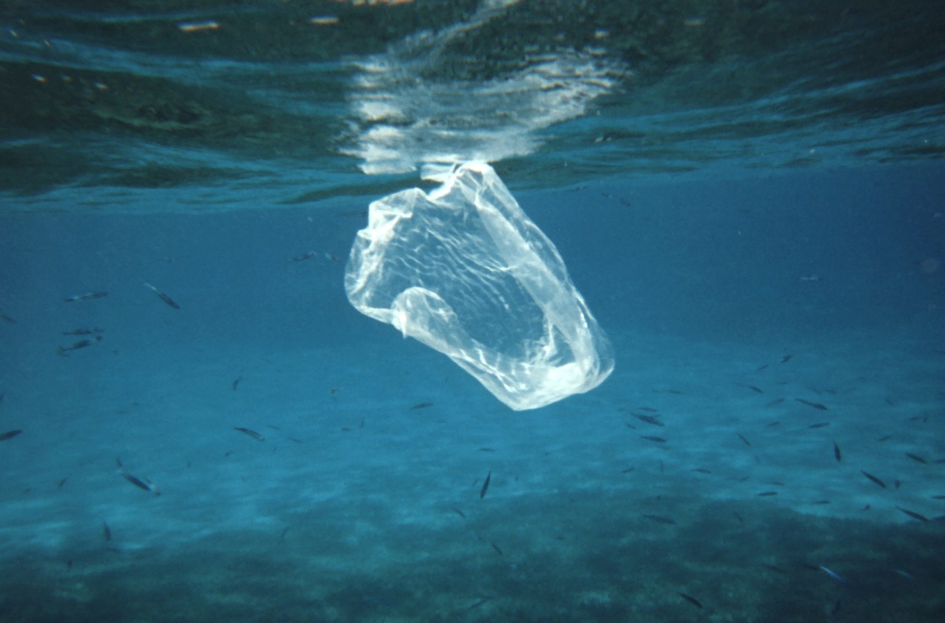 プラスチック問題：報道から見えるのは？