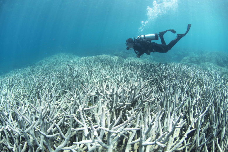 メディアは地球の危機に気付いている？