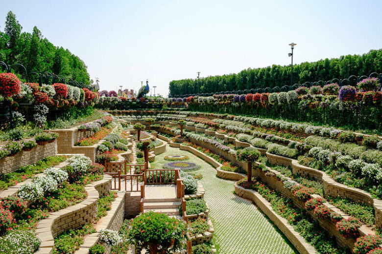 世界一美しい垂直庭園：ドバイ