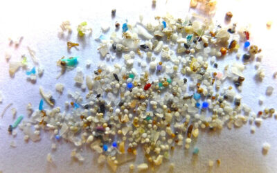 Microplastics entering the environment could double by 2040