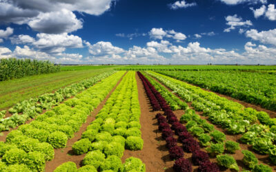 Nobel Laureates Make Unprecedented Plea to Avert a Food Crisis