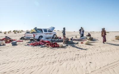 Mass grave discovered in Libya, possibly the bodies of migrants and refugees bound for Europe