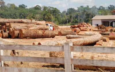 Brazilian Amazon: 91% of Deforestation Is Illegal