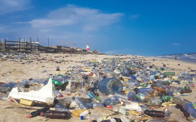 Products by Major Brands Like Coca-Cola and Plastic Pollution