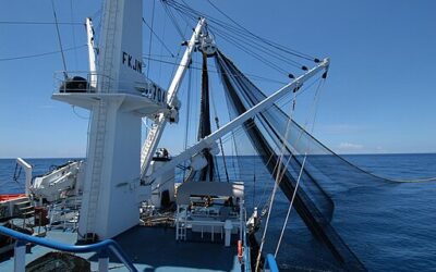 Seychelles Becomes the World’s First Country to Comply with Fisheries Transparency Standards