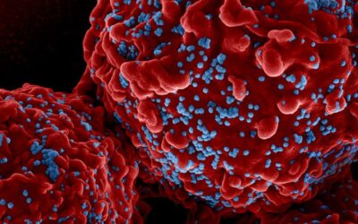 HIV infections surge in the Middle East and North Africa