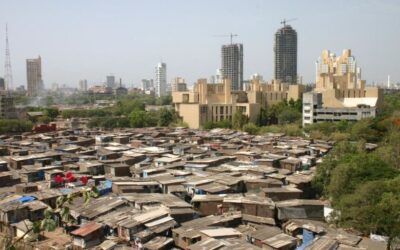 WHO Issues New Report: Health Disparities Stem from Factors Beyond Healthcare