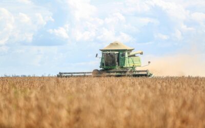 Brazil–Africa: South–South Cooperation in Agriculture