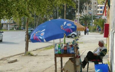 The Informal Economy in the Western Balkans