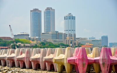 Sri Lanka Suffers Under Imposed Austerity Measures