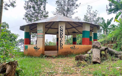 Burundi: Will one-party rule continue?