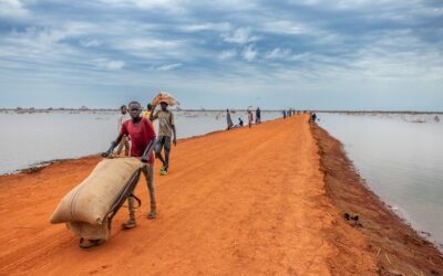 64% of Children in South Sudan Are Involved in Forced Labor and Related Activities