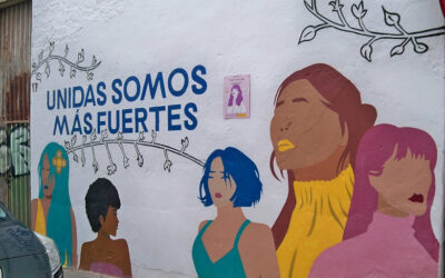 The Decline of Programs to Combat Violence Against Women