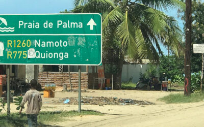 Mozambique: Escalating Violence and a Humanitarian Crisis
