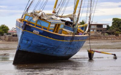 Western Indian Ocean Region: Losses in the Ocean