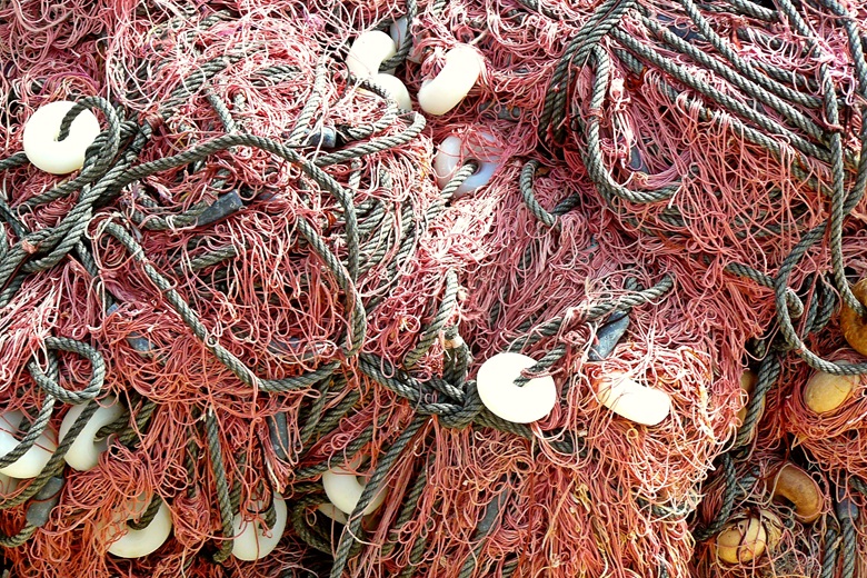 Far from Achieving Marine Conservation Goals