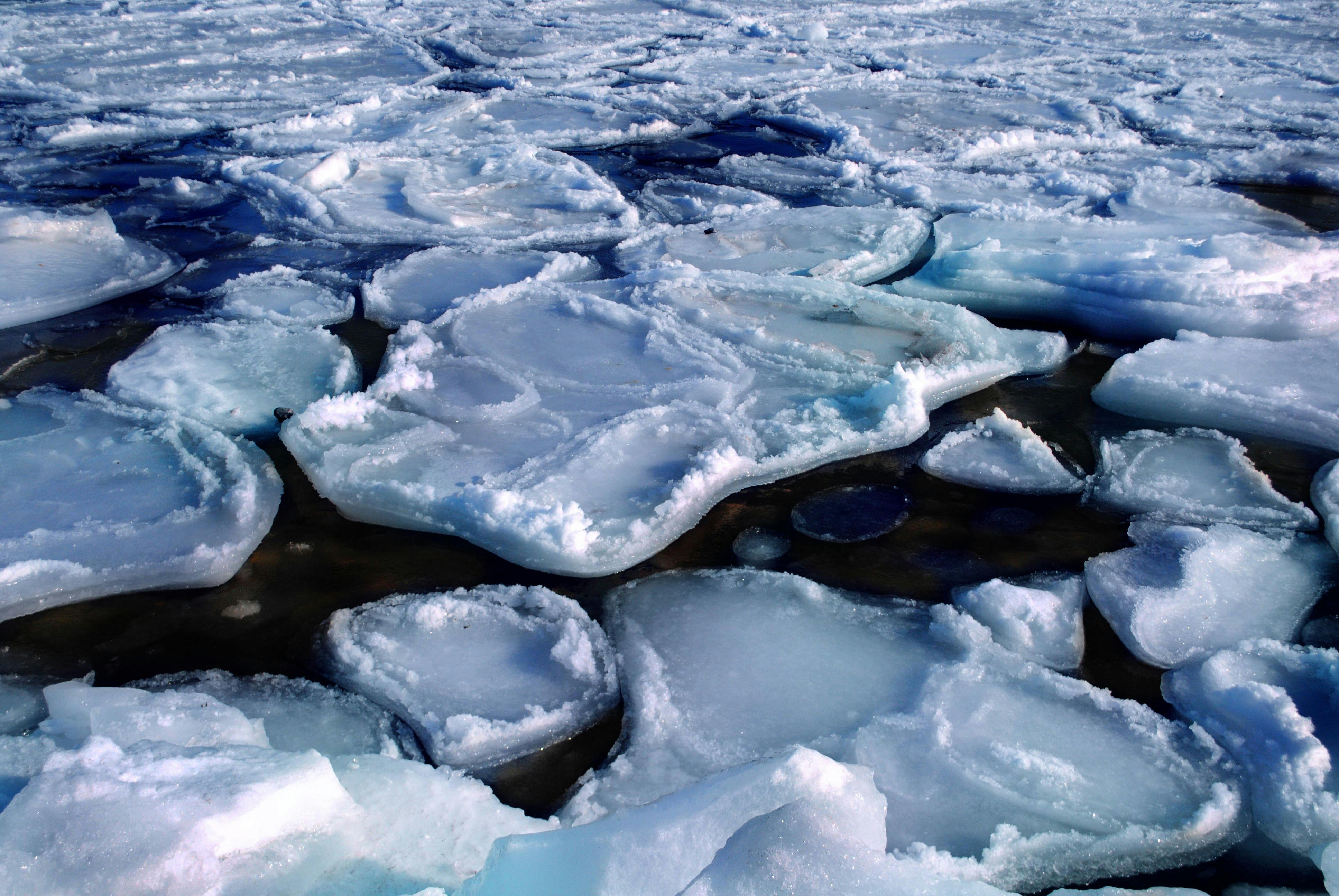 Ongoing Arctic Warming