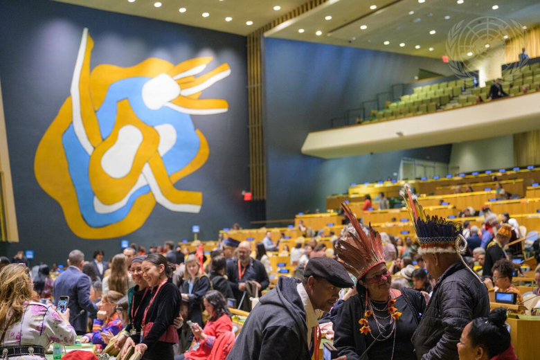 “Indigenous Health and Land are Indivisible” – UN Forum